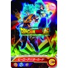 BANDAI Super Dragon Ball Heroes License Set Brolly Ver.[Japan Import]