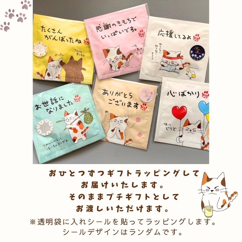Iwama-en Seicha Honpo Mitarashi-chan Uji Sencha Tea Bag Set with