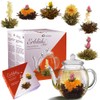 Creano Blooming Tea Gift Set with Glass Pot 17oz/500ml with
