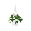 elho Greenville Hanging Basket 24 - Flower Pot for Balcony