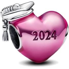 TCZNAF Family Friendship Love Charm Pendant Bead Pendant for European Bracelets Jewellery Gift 925 Sterling Silver Charm for Women, Cubic Zirconia