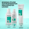 Redken Nourishing Shampoo for Regeneration of the Structure of Treated