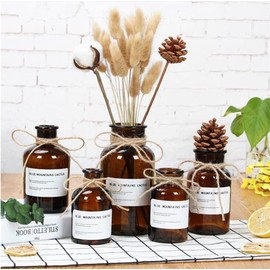 SHUILING Amber Glass Vase Set of 2, Small Bud Vase for Rustic Home Decor Apothecary Jars Mini Vintage Flower Vases Centerpiece for Wedding Decorations, Decorative Glass Bottles (4OZ+8.5OZ)