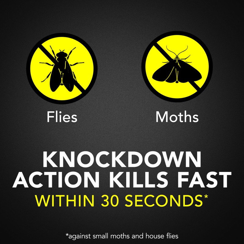Raid Flying Insect Killer, Kills Flies, Mosquitoes, and Other Flying