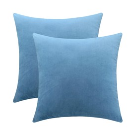 Jeneoo Set of 2 Decorative Throw Pillow Covers Soft Velvet Comfy Solid Couch Cushion Cases for Livingroom Bed Sofa Decor (Sky Blue, 18 x 18 Inches)