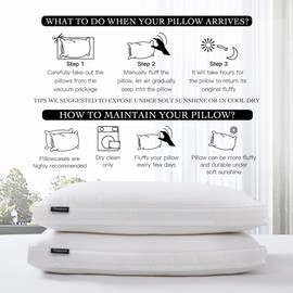 Beautyrest Feather Gusset Supportive Bed 233 Thread 55%/45% Tencel Lyocell/Cotton Blend Pillow, 2 Count (Pack of 1), White