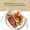 Signature Packaging - Re-usable Plastic Forks 100 Pack - Heavy