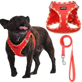 AMTOR Dog Harness with Leash Set,No Pull Adjustable Reflective Puppy Harness with Padded Vest for Extra-Small/Small Medium Large Dogs and Cats(Red)