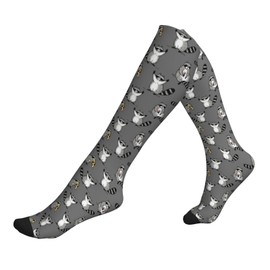 AIMASTZ Cute Funny Raccoon Compression Socks Women Men, Calf Knee High Socks For Athletic Running Cycling Nurse
