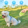 Dog Walking Leash Portable ABS Automatic Telescopic Retractable Dog Leash