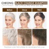 CHEONG DAM STYLE- CHAMPÚ ULTRA MARRÓN PARA CAMBIO DE COLOR
