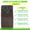 LORIEN Clip in Hair Extensions Real Human Hair 105g Clip