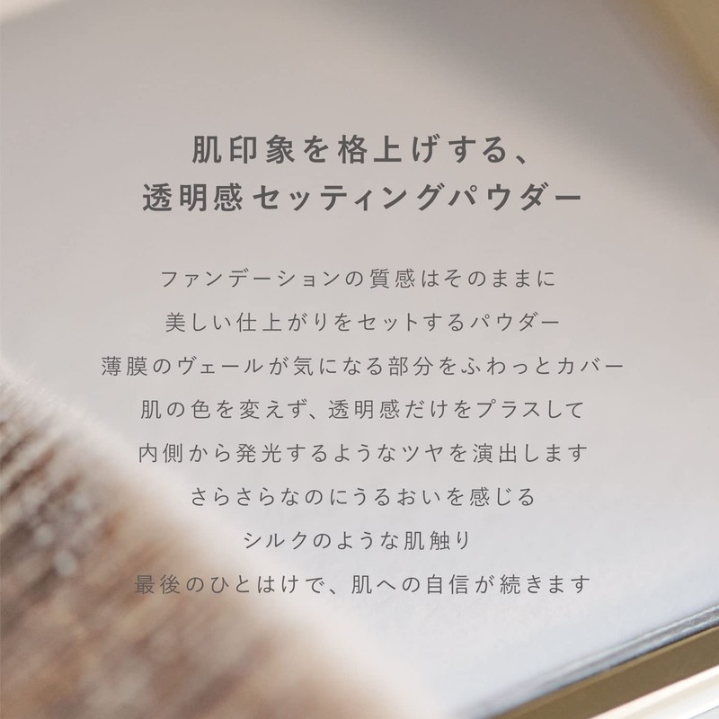 RMK Silk Fit Setting Powder (Face Powder / Flat Brush