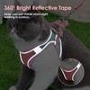 Eyein Cat Harness and Lead Set for Walking, Adjustable Soft
