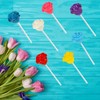 Fruidles Charming Roses Lollipops, Large Lollipop Sucker, Mixed Fruit Flavor,