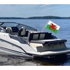 24x36 Inch Welsh Flag,Big 2x3 FT Wales Dragon Flag,Medium Size
