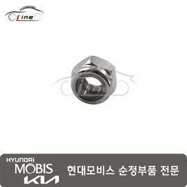 Hyundai Mobis Nut Lock 13260 10003 / 너트 록 13260 10003