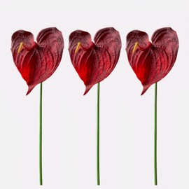 Evlasumflow 30" Artificial Anthurium Lily Flowers 3pcs Red Fake Tropical Flowers for Vase Bouquets Home Office Wedding Decor.