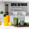 Ventray Ginnie Mini Cold Press Juicer, Small Slow Masticating Juicer
