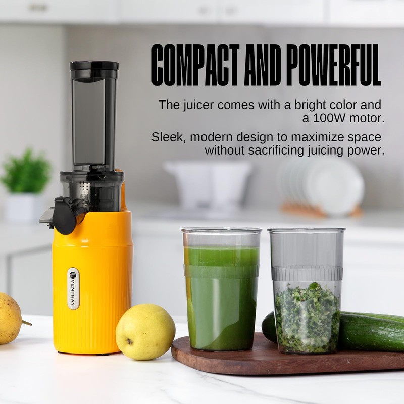 Ventray Ginnie Mini Cold Press Juicer, Small Slow Masticating Juicer