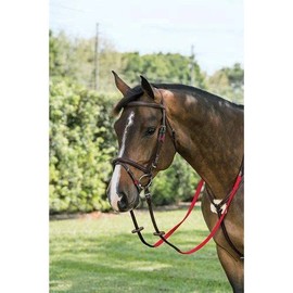 Nunn Finer Rubber Keepers - Bag of 10 (Purple)