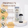 PROPOLUX Alcohol-Free Propolis Drops – Unique Lactic Acid Extraction, PG-Free