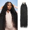 Alaleibaby Ocean Wave Crochet Hair 22 inch Deep Wave Crochet