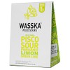 Wasska Pisco Sour Mix 4.4 oz. (6-Pack)