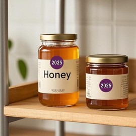 YIKIADA 500 PCS Purple 2025 Dot Stickers Roll 1 Inches Round Vinyl Color Coded New Year Labels Self Adhesive Waterproof Bookmarks for File Folders Charts Planner Organization Number Tabs