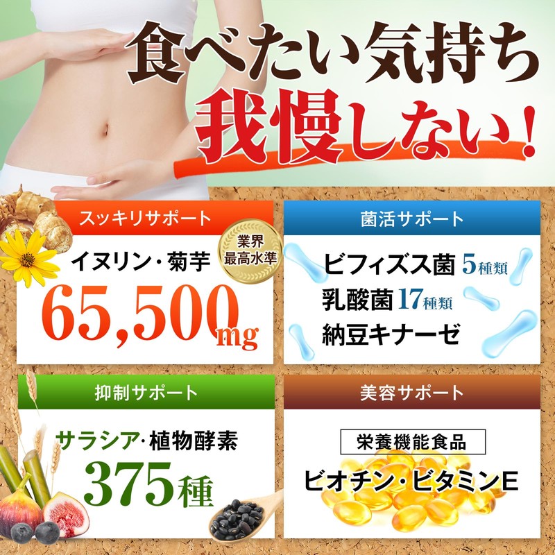 業界最高水準量 イヌリン 65,500mg 水溶性 食物繊維 大容量 300粒 国内製造 ナットウキナーゼ 菊芋