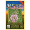Everwilde Farms - 1250 Fireweed Native Wildflower Seeds - Gold