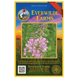 Everwilde Farms - 1250 Fireweed Native Wildflower Seeds - Gold Vault Jumbo Seed Packet