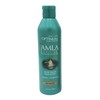 SoftSheen-Carson 3 Pack SoftSheen Amla Legend Rejuvenating Body Filler Hair
