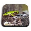 1 x Square MDF Fridge Magnet - Cute Green Frogs
