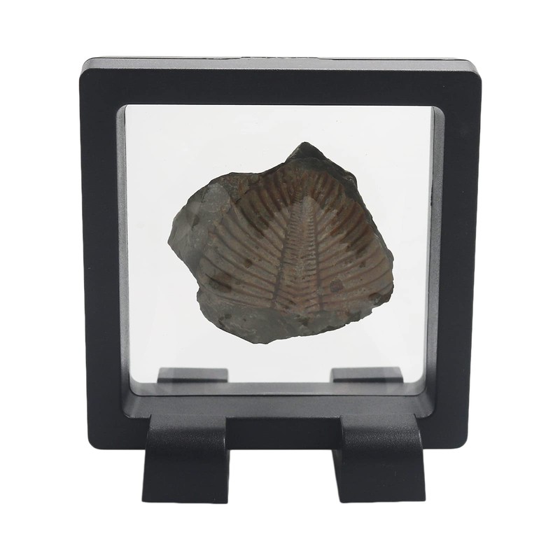 Challenge Coin Holder, Single Coin Display Case, 3D Floating Clear