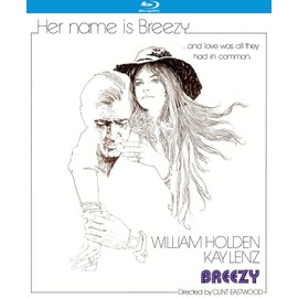 KL Studio Classics Swiss Miss Milk Chocolate Hot Cocoa, Single-serve Keurig K-cup Pods, H Grocery