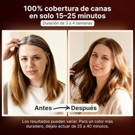 Herbishh - Champú colorante para cabello gris, champú con tinte natural para el cabello, colorea el cabello en minutos, dura hasta de 3 a 4 semanas, 500 ml, tinte de cabello 3 en 1, sin amoniaco (marrón claro)