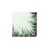 Napkin "Forest" Pack of 20
