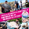 Duel Pink Floro Invisible-to-Fish Ship Harris Big Game 164.1 ft