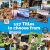 Dayplanner Publishing Camper Vans Calendar 2025, Large Square Wall Calendar,