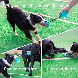 Juguetes para perros para masticadores agresivos, juguetes interactivos para perros, juguetes estimulantes mentales para perros, juguetes de...       