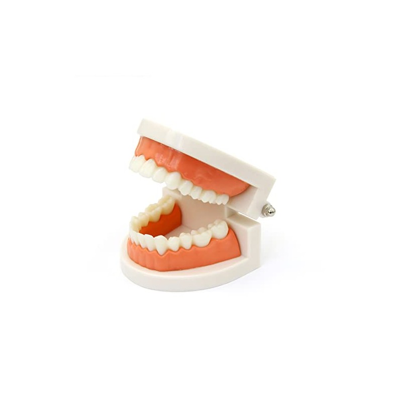 Kiddison Brushing Teeth Activity Set Montessori Practical Life