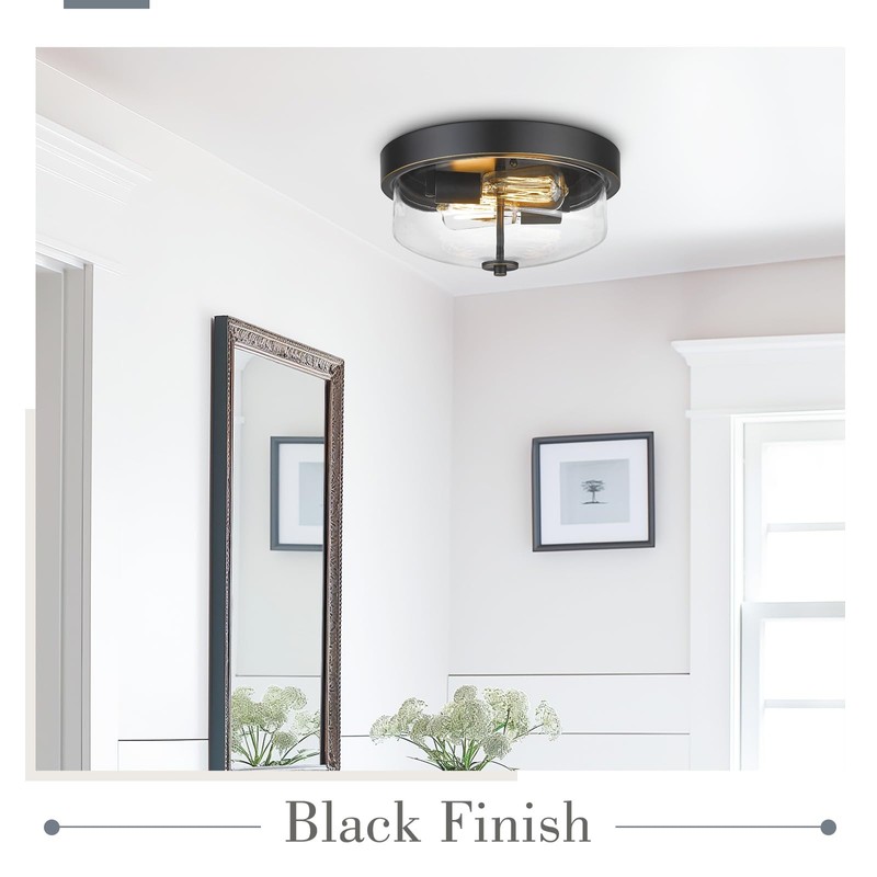 Emliviar 1 Pack Ceiling Light Fixture with Clear Glass Shade