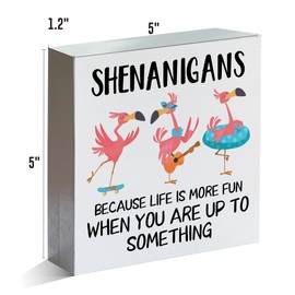 Funny Flamingo Gift Flamingo Lovers Sign Shenanigans Because Life Is More Fun Wooden Box Sign for Home Shelf Tabletop Decor 5 X 5 Inches