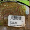 Mister Twister MTSF20-10RF 3" Meeny Tail Chartreuse Red Flake-1pk of