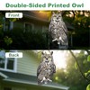 Lifreer 5PCS Owl Shape Bird Reflective Deterrents Owl Hanging Decoration