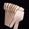 96mm Wooden Ice Cream Spade x100
