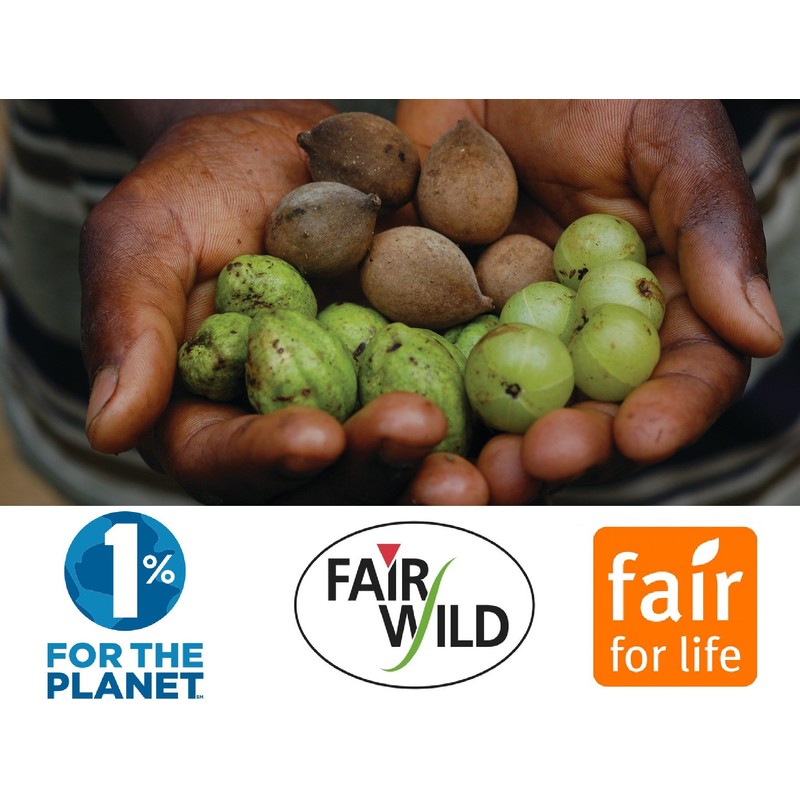 Pukka - Wild Apple & Cinnamon with Ginger Tea -