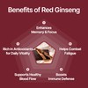 CARE U Red Ginseng Extract Sachets– On-The-Go Energy Boost–Non-GMO, Soy-Free,