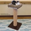 Kitty City Sisal Post Scratcher, Perch Platform